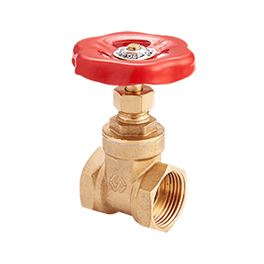 Задвижка клиновая MVI 1`` BV.880.06