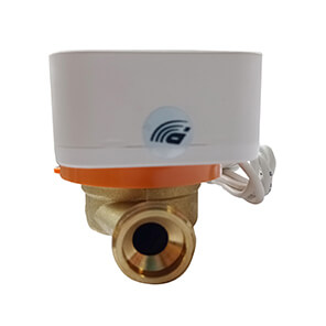 Квартирный счетчик воды