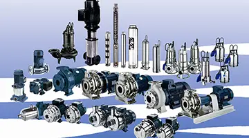 Запуск нового направления компании 