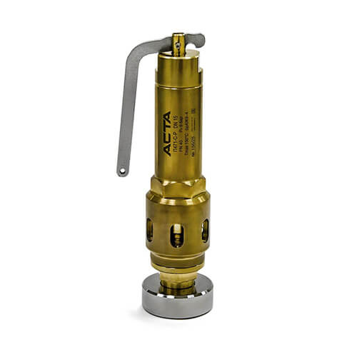 Bronze safety valve P471
